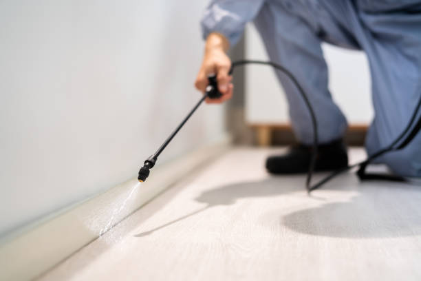 Licensed Cockroach Control service in Georgetown, CT - Nex Pest Control