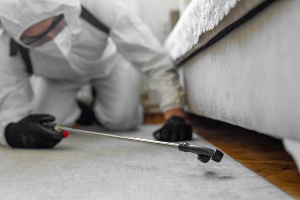 Professional Cockroach Control technician working in Georgetown, CT