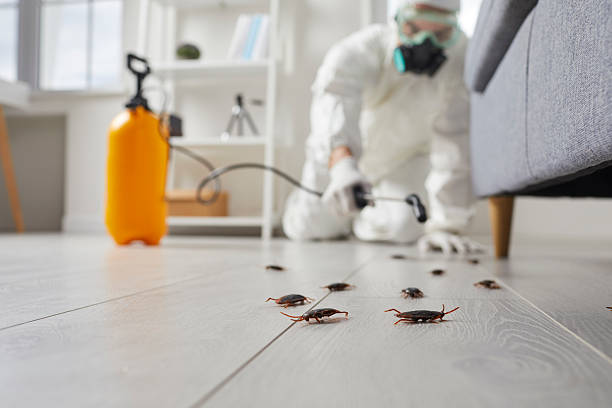 Affordable Cockroach Control solutions in Georgetown, CT